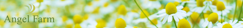 エンジェルファーム“自然療法WEBショップ”